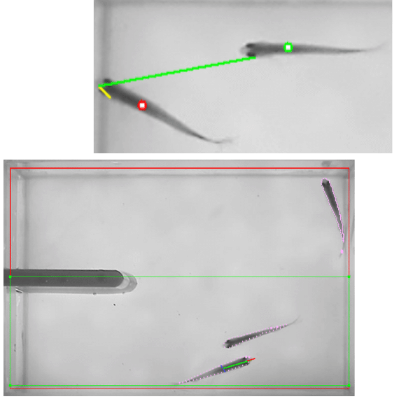 A versatile video tracking system for your zebrafish research