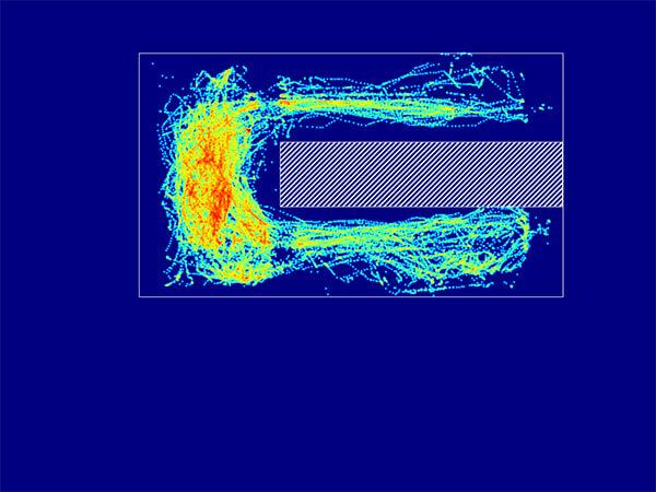 Controlled environment for adult zebrafish tracking